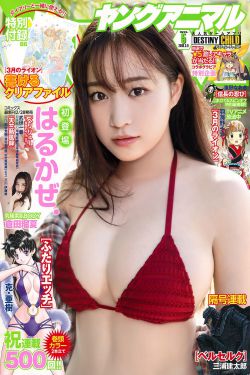 女海盗1成版人中文